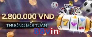 88vin